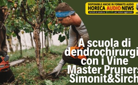 A scuola di dendrochirurgia con i Vine Master Pruners Simonit&Sirch