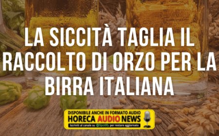 La siccità taglia il raccolto di orzo per la birra italiana