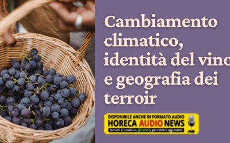 Cambiamento climatico, identità del vino e geografia dei terroir