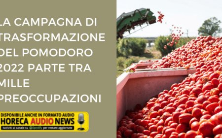 La campagna di trasformazione del pomodoro 2022 parte tra mille preoccupazioni