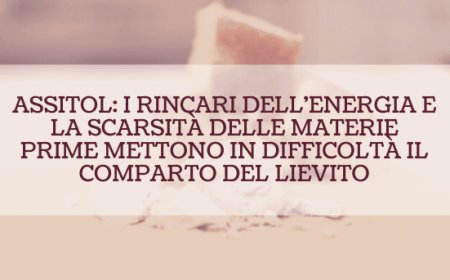 Assitol: i rincari dell'energia e la scarsità delle materie prime mettono in difficoltà il comparto del lievito