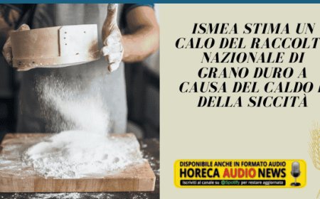 Ismea stima un calo del raccolto nazionale di grano duro a causa del caldo e della siccità