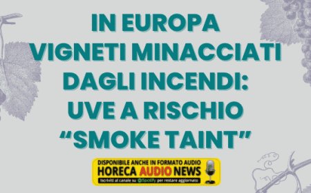 In Europa vigneti minacciati dagli incendi: uve a rischio “Smoke Taint”