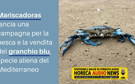 Mariscadoras lancia una campagna per la pesca e la vendita del granchio blu, specie aliena del Mediterraneo
