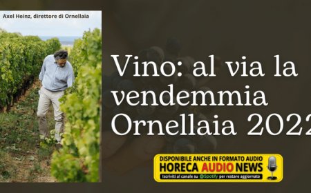 Vino: al via la vendemmia Ornellaia 2022