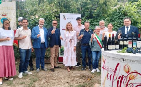 Consegnata a Mercato Saraceno la bandiera Città del Vino