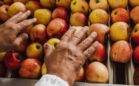 La sostenibilità guida la crescita e l'evoluzione di Natura Nuova