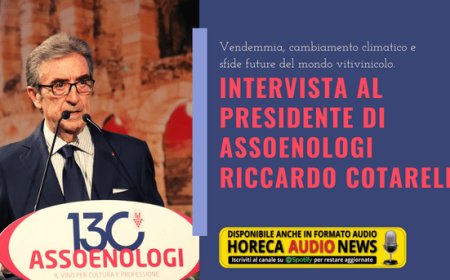 Vendemmia, cambiamento climatico e sfide future del mondo vitivinicolo. Intervista al Presidente di Assoenologi Riccardo Cotarella