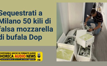 Sequestrati a Milano 50 kili di falsa mozzarella di bufala Dop