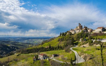 Alba ospita forum mondiale dell'enoturismo