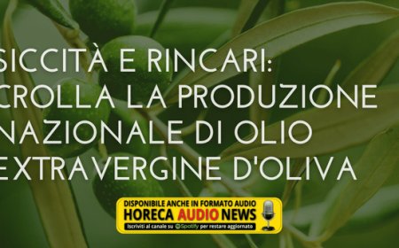 Siccità e rincari: crolla la produzione nazionale di olio extravergine d'oliva