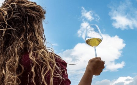 Aminea Winery dà il via ai Wine Tour in vendemmia