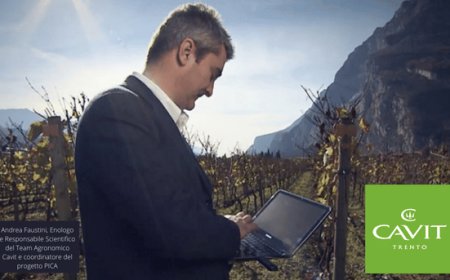 Vendemmia 2022: Cavit investe nello studio scientifico del territorio