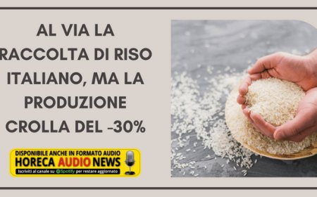 Al via la raccolta di riso italiano, ma la produzione crolla del -30%