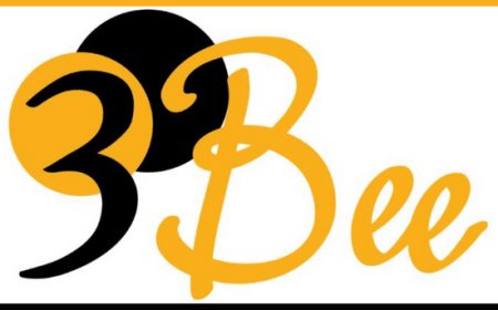 3Bee lancia la Box 3Bee, la guida interattiva per adottare un alveare