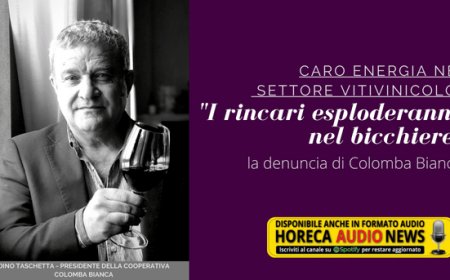 Caro energia nel settore vitivinicolo. "I rincari esploderanno nel bicchiere": la denuncia di Colomba Bianca