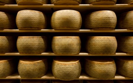Grana Padano: no ai cibi sintetici, sì alla sostenibilità