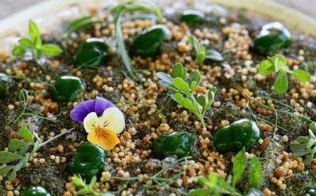 A Orticolario 2022 per scoprire Tenuta Botanica Green Experience