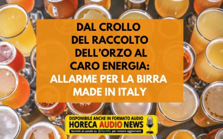 Dal crollo del raccolto dell'orzo al caro energia: allarme per la birra made in Italy