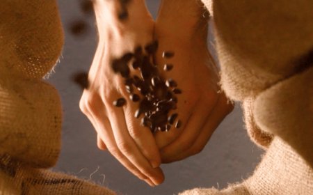 Consorzio Promozione Caffè: è online un video racconta i valori della tazzina più amata