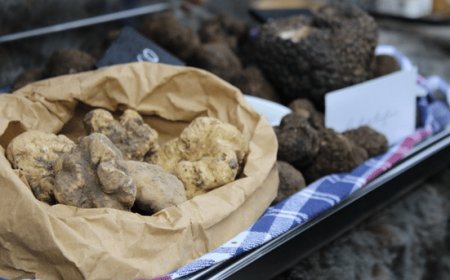 Amatissimo tartufo: la mappa del gusto