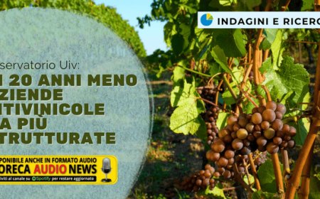 Osservatorio Uiv: in 20 anni meno aziende vitivinicole ma più strutturate