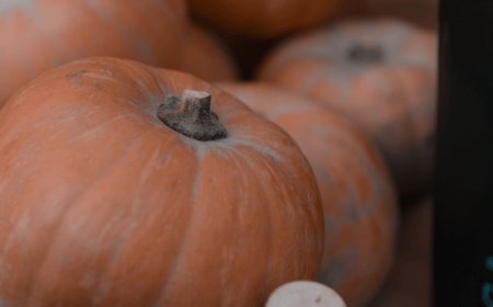 La zucca protagonista del Ferrara Food Festival