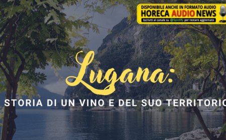 Lugana: storia di un vino e del suo territorio