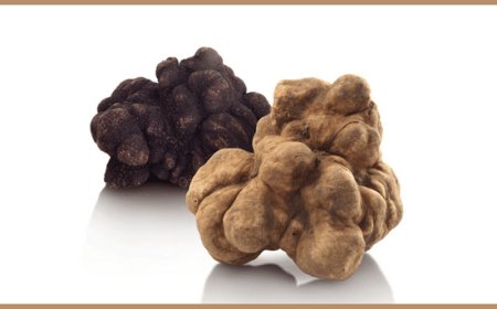 Appennino Food Group: al via la stagione del Tartufo Bianco