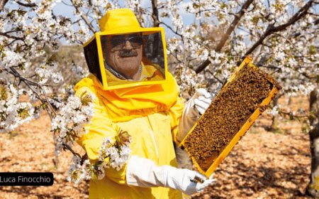 L'Apicoltura Luca Finocchio si aggiudica due premi a Dubai