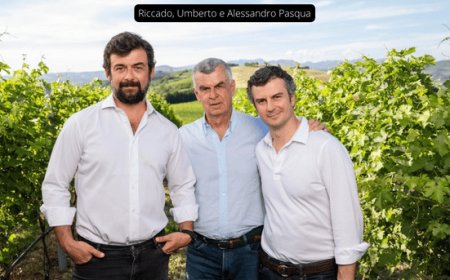 Un 2022 ricco di soddisfazioni per Pasqua Vini
