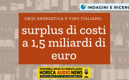 Crisi energetica e vino italiano: surplus di costi a 1,5 miliardi di euro