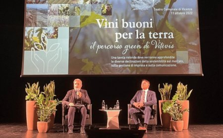 Vini buoni per la terra. Vitevis illustra il suo percorso di sostenibilità 