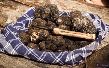 Caccia al tartufo tra i boschi dell’Appennino molisano-abruzzese
