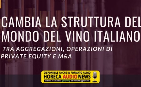 Cambia la struttura del mondo del vino italiano tra aggregazioni, operazioni di Private Equity e M&A