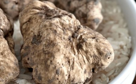 Le Fiere del Tartufo 2022 nelle provincie di Alessandria e di Asti