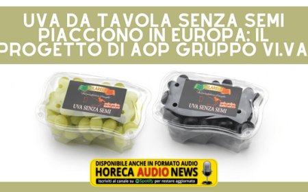 Uva da tavola senza semi piacciono in Europa: il progetto di AOP Gruppo Vi.Va.