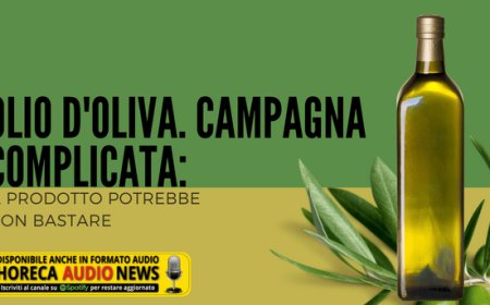 Olio d'oliva. Campagna complicata: il prodotto potrebbe non bastare