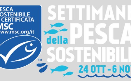 Rizzoli Emanuelli partner delle Settimane della pesca sostenibile di MSC 