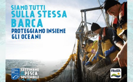 FRoSTA al fianco di MSC per le Settimane della Pesca Sostenibile