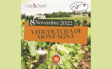 Da Chick’n Quick Speciale Viticoltura di Montagna