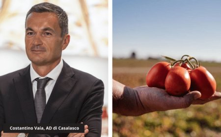 Casalasco leader italiano nella trasformazione del pomodoro da industria
