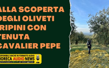 Alla scoperta degli oliveti iripini con Tenuta Cavalier Pepe