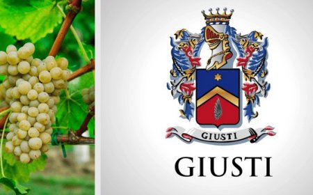 Giusti Wine: verso un nuovo modello di bellezza verde