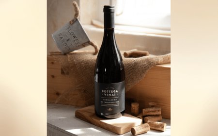 Teroldego Rotaliano DOC Bottega Vinai, il vino ideale per la stagione autunnale