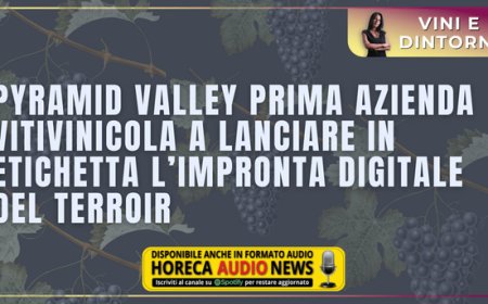 Pyramid Valley prima azienda vitivinicola a lanciare in etichetta l’impronta digitale del terroir