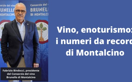 Vino, enoturismo: i numeri da record di Montalcino