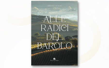 Alle radici del Barolo: storia del re dei vini