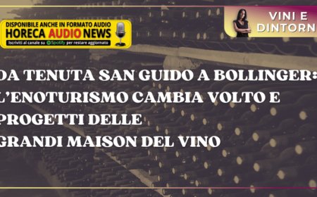 Da Tenuta San Guido a Bollinger: l’enoturismo cambia volto e progetti delle grandi Maison del Vino