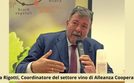 Vino, Rigotti: "Situazione mercato resta positiva, non si intraprendano strade che rischiano di essere controproducenti"